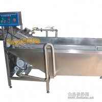 氣泡清洗機，自動蔬菜清洗機，蔬菜清洗流水線