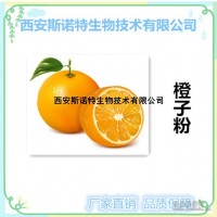 橙子速溶粉 橙子粉 水溶性果粉 源頭現貨