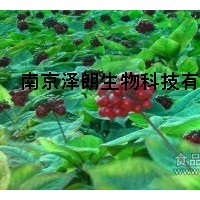 人參皂苷Rc,Ginsenoside Rc,98%