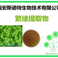 繁縷提取物 原料提取加工 斯諾特包郵