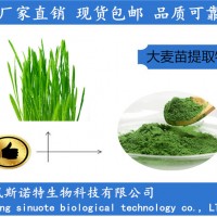 ：大麥苗提取物 大麥若葉提取物廠家
