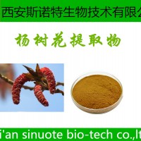 楊樹花提取物 楊樹花原料提取 可試樣 供應