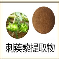 刺蒺藜提取物 全水溶噴霧干燥粉末 資質(zhì)齊全 質(zhì)量穩(wěn)定 可試樣