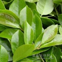 南燭葉提取物