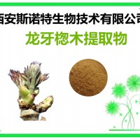 龍牙楤木提取物 刺嫩牙粉 原料萃取加工