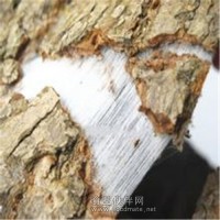 杜仲提取物