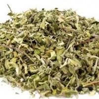 達(dá)米阿那提取物