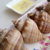 海螺檢測報告,海螺抗生素檢測機構,海螺營養檢測項目