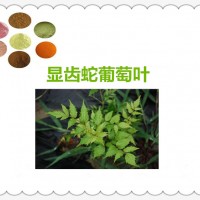 顯齒蛇葡萄葉提取物的廠家