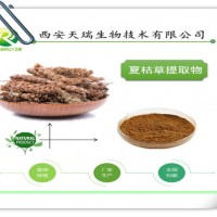 夏枯草提取物的供應