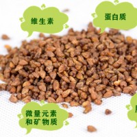苦蕎提取物 苦蕎黃酮50% 苦蕎粉