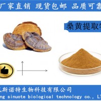 桑黃提取物 桑黃多糖30% 桑黃粉
