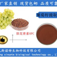 葡萄籽提取物98%葡萄籽原花青素