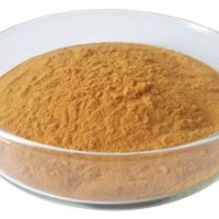 食品級綠茶提取物 綠茶提取物供應廠家