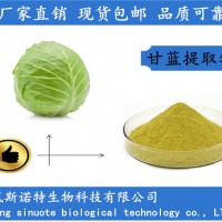甘藍提取物 綠甘藍提取物 20:1甘藍粉
