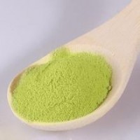 小麥草粉    大量供應