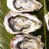 牡蠣提取物-浸膏