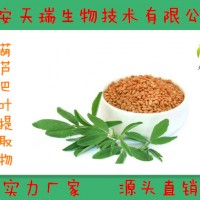 葫蘆巴葉提取物   葫蘆巴粉
