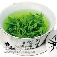 綠茶提取物-廠家  綠茶浸膏