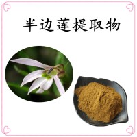 半邊蓮提取物 水溶性好 源頭工廠直發 可免費試樣