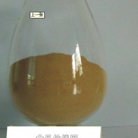 苦菊提取物-廠家   苦菊浸膏
