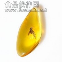琥珀提取物-廠家   價(jià)格優(yōu)惠