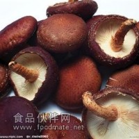 冬菇提取物-廠家    冬菇多糖