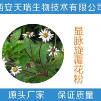 顯脈旋覆花提取物  顯脈旋覆花粉
