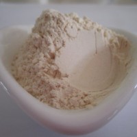 天瑞廠家 鳳梨果汁粉