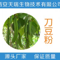 刀豆提取物  刀豆粉