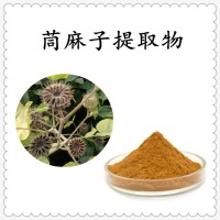茼麻子提取物 水溶性好 源頭工廠直發 可免費試樣