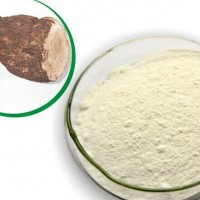 茯苓提取物/粉 藥食同源原料