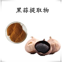 黑蒜提取物 水溶性好 源頭工廠直發 可免費試樣