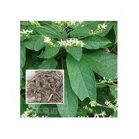 牡丹皮提取物-價格