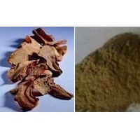 生姜提取物 生姜 生姜粉 生姜汁粉