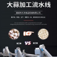大蒜流水線專業(yè)供貨商 全自動(dòng)大蒜生產(chǎn)線 蒜米加工設(shè)備