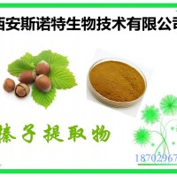 榛子提取物 榛子粉 比例萃取 供應中