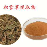 積雪草提取物 積雪草皂苷40% 供應