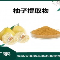 柚子果汁粉 柚子果粉 水果粉 水溶性好