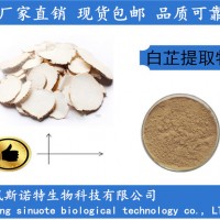 白芷提取物 10:1源頭廠家 現貨供應白芷粉