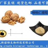 新疆核桃仁提取物 核桃粉 水溶性食品原料