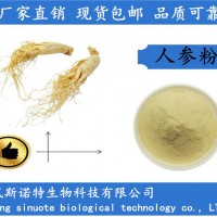 人參粉 99.9%人參生粉 食品級植物原料廠家