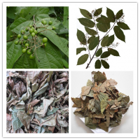 布渣葉粉sc廠家供應包郵