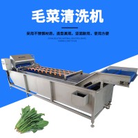 預制菜清洗機 預備菜清洗設備廠家 整顆菜清洗機JY-5200