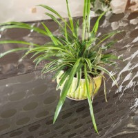 鏤空呼吸纏繞膜