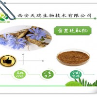 菊苣提取物10:1廠家供應(yīng)