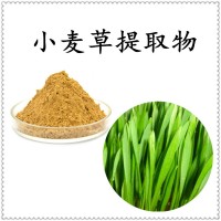 小麥草提取物 高倍濃縮 產品質量穩定 水溶性好 支持定制