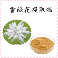 雪絨花提取物 比例濃縮萃取 精細粉末 溶解性好 支持拿樣
