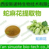蛇麻花提取物 三原工廠 廠家現貨 可試樣