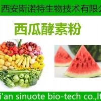 西瓜酵素粉  原料萃取粉 三原廠家 可試樣